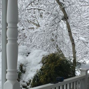 Meet your Posher, Lacey